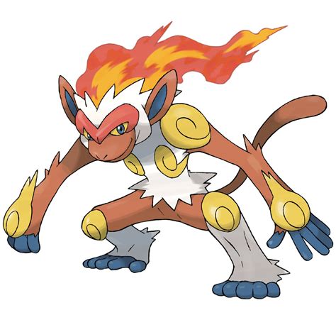 infernape stats|infernape wikidex.